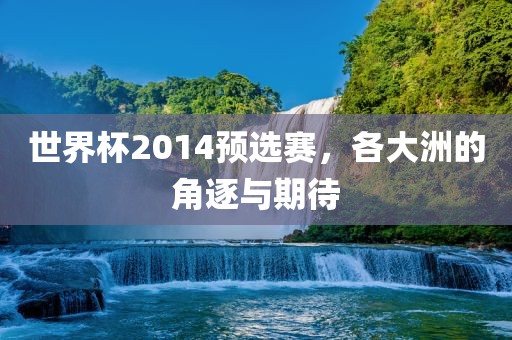 世界杯2014预选赛，各大洲的角逐与期待