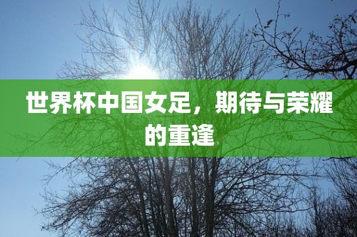 世界杯中国女足，期待与荣耀的重逢