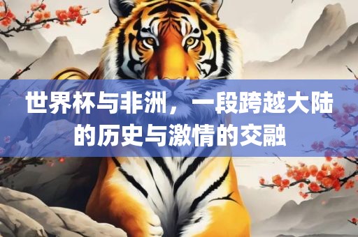 世界杯与非洲，一段跨越大陆的历史与激情的交融