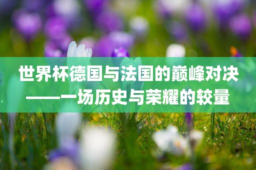 世界杯德国与法国的巅峰对决——一场历史与荣耀的较量