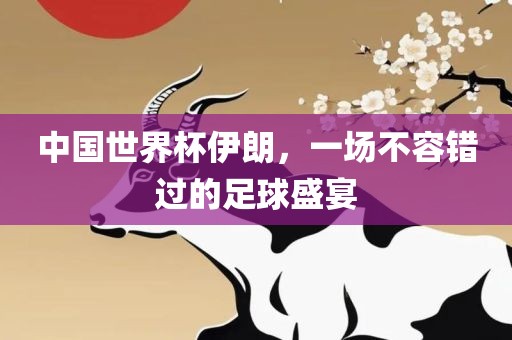 中国世界杯伊朗，一场不容错过的足球盛宴