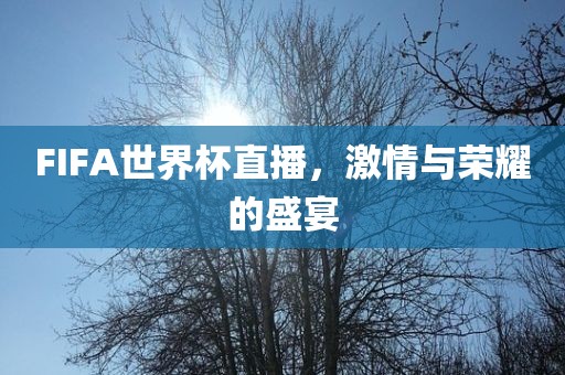 FIFA世界杯直播，激情与荣耀的盛宴