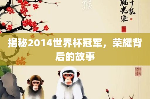 揭秘2014世界杯冠军，荣耀背后的故事