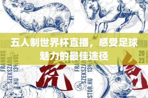 五人制世界杯直播，感受足球魅力的最佳途径