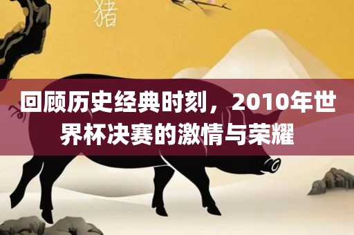 回顾历史经典时刻，2010年世界杯决赛的激情与荣耀