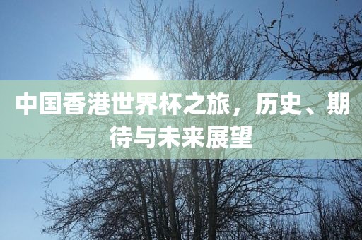 中国香港世界杯之旅，历史、期待与未来展望