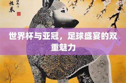 世界杯与亚冠，足球盛宴的双重魅力