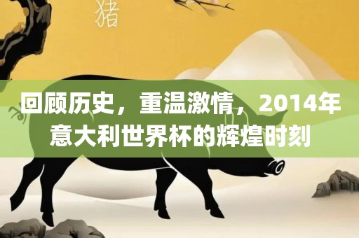 回顾历史，重温激情，2014年意大利世界杯的辉煌时刻