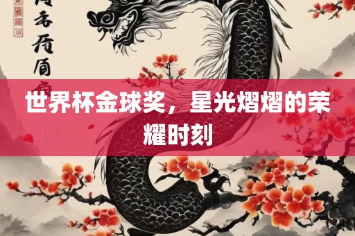 世界杯金球奖，星光熠熠的荣耀时刻