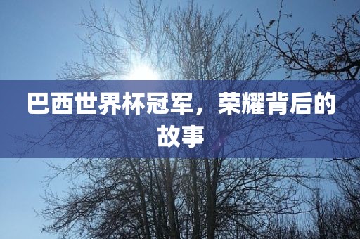 巴西世界杯冠军，荣耀背后的故事眉山市正发家政服务有限公司