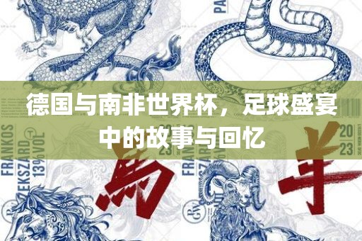 德国与南非世界杯，足球盛宴中的故事与回忆
