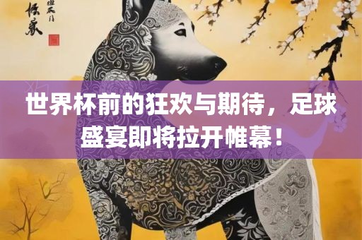 世界杯前的狂欢与期待，足球盛宴即将拉开帷幕！