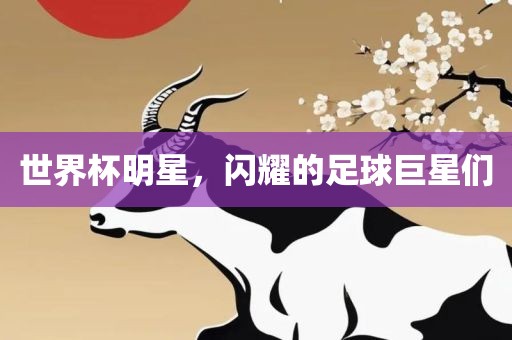 世界杯明星，闪耀的足球巨星们
