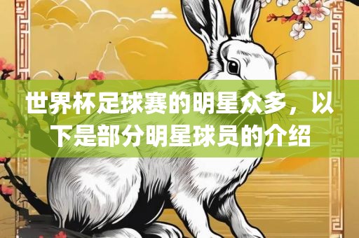 世界杯足球赛的明星众多，以下是部分明星球员的介绍