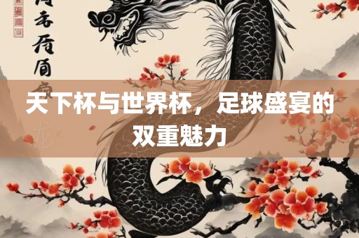 天下杯与世界杯，足球盛宴的双重魅力