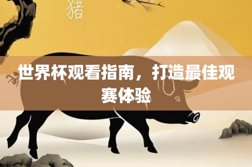世界杯观看指南，打造最佳观赛体验