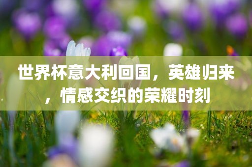 世界杯意大利回国，英雄归来，情感交织的荣耀时刻