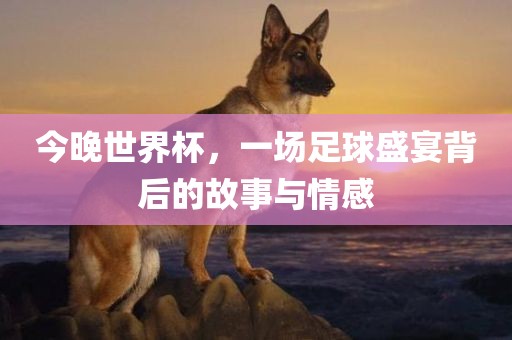 今晚世界杯，一场足球盛宴背后的故事与情感眉山市正发家政服务有限公司