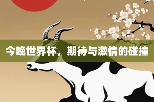 今晚世界杯，期待与激情的碰撞