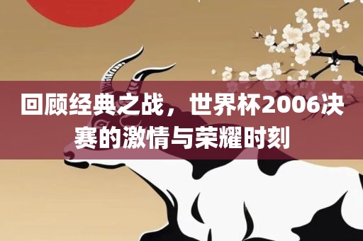 回顾经典之战，世界杯2006决赛的激情与荣耀时刻