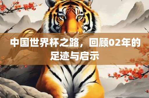 中国世界杯之路，回顾02年的足迹与启示