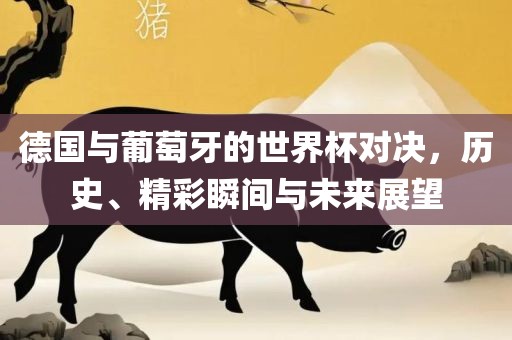 德国与葡萄牙的世界杯对决，历史、精彩瞬间与未来展望