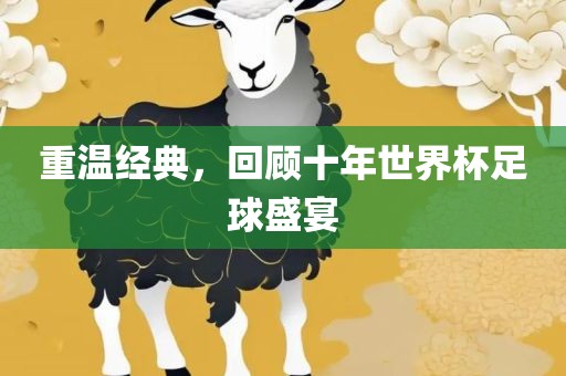 重温经典，回顾十年世界杯足球盛宴