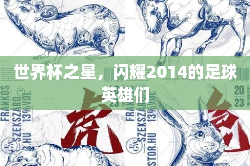 世界杯之星，闪耀2014的足球英雄们