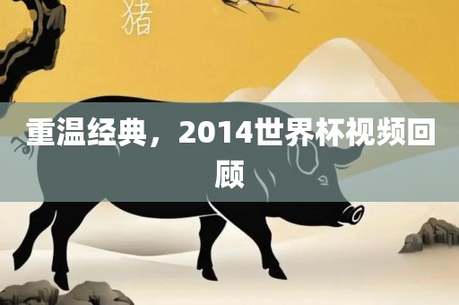 重温经典，2014世界杯视频回顾