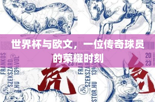 世界杯与欧文，一位传奇球员的荣耀时刻