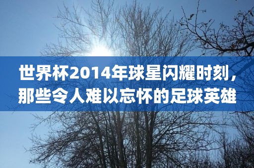 世界杯2014年球星闪耀时刻，那些令人难以忘怀的足球英雄