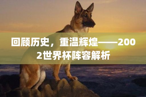 回顾历史，重温辉煌——2002世界杯阵容解析