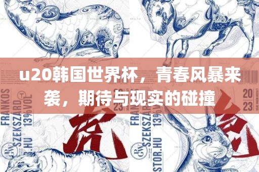 u20韩国世界杯，青春风暴来袭，期待与现实的碰撞