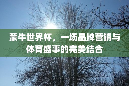 蒙牛世界杯，一场品牌营销与体育盛事的完美结合眉山市正发家政服务有限公司