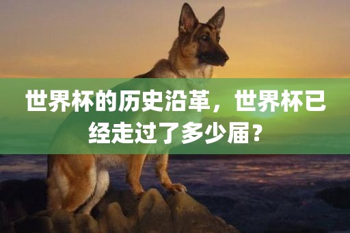 世界杯的历史沿革，世界杯已经走过了多少届？