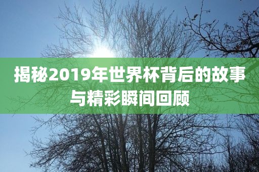 揭秘2019年世界杯背后的故事与精彩瞬间回顾