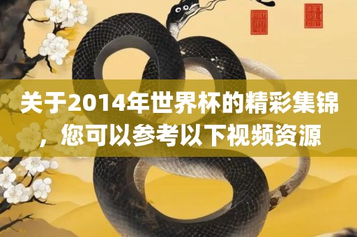 关于2014年世界杯的精彩集锦，您可以参考以下视频资源