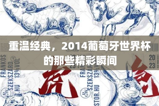 重温经典，2014葡萄牙世界杯的那些精彩瞬间