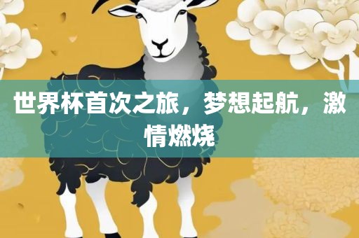 世界杯首次之旅，梦想起航，激情燃烧