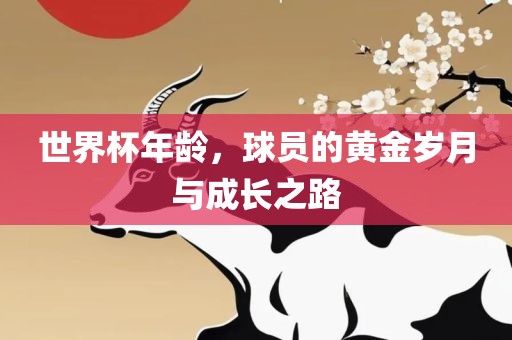 世界杯年龄，球员的黄金岁月与成长之路