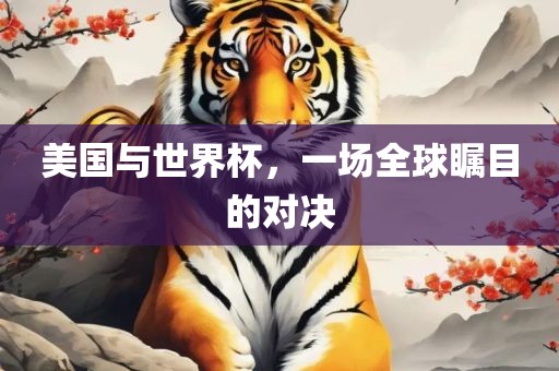 美国与世界杯，一场全球瞩目的对决