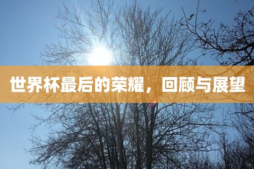 世界杯最后的荣耀，回顾与展望