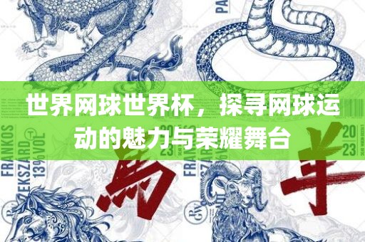 世界网球世界杯，探寻网球运动的魅力与荣耀舞台