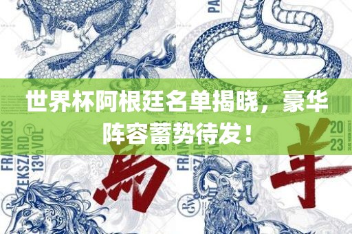 世界杯阿根廷名单揭晓，豪华阵容蓄势待发！