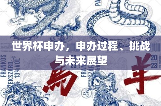 世界杯申办，申办过程、挑战与未来展望