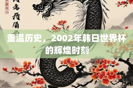 重温历史，2002年韩日世界杯的辉煌时刻