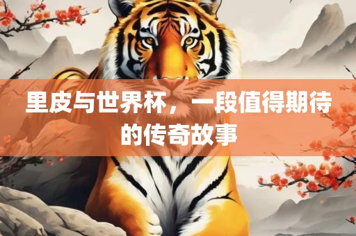 里皮与世界杯，一段值得期待的传奇故事