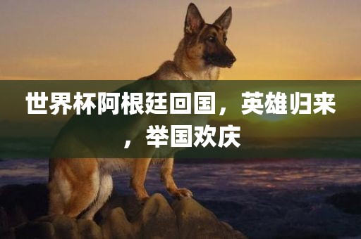 世界杯阿根廷回国，英雄归来，举国欢庆