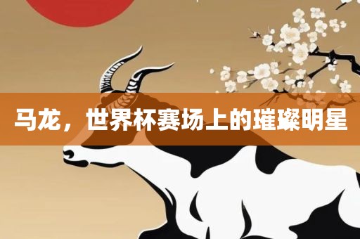 马龙，世界杯赛场上的璀璨明星
