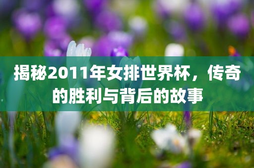 揭秘2011年女排世界杯，传奇的胜利与背后的故事